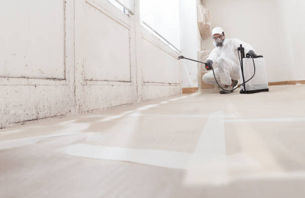 24/7 Emergency Attic Mold Removal experts in Palm Beach, FL